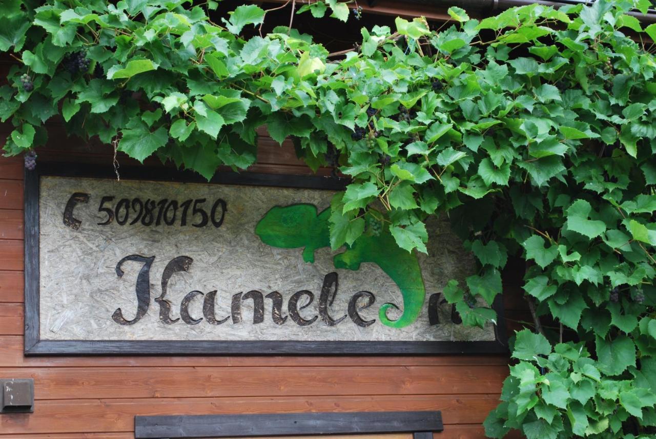 Kameleon Dzwirzyno Hotel Bagian luar foto